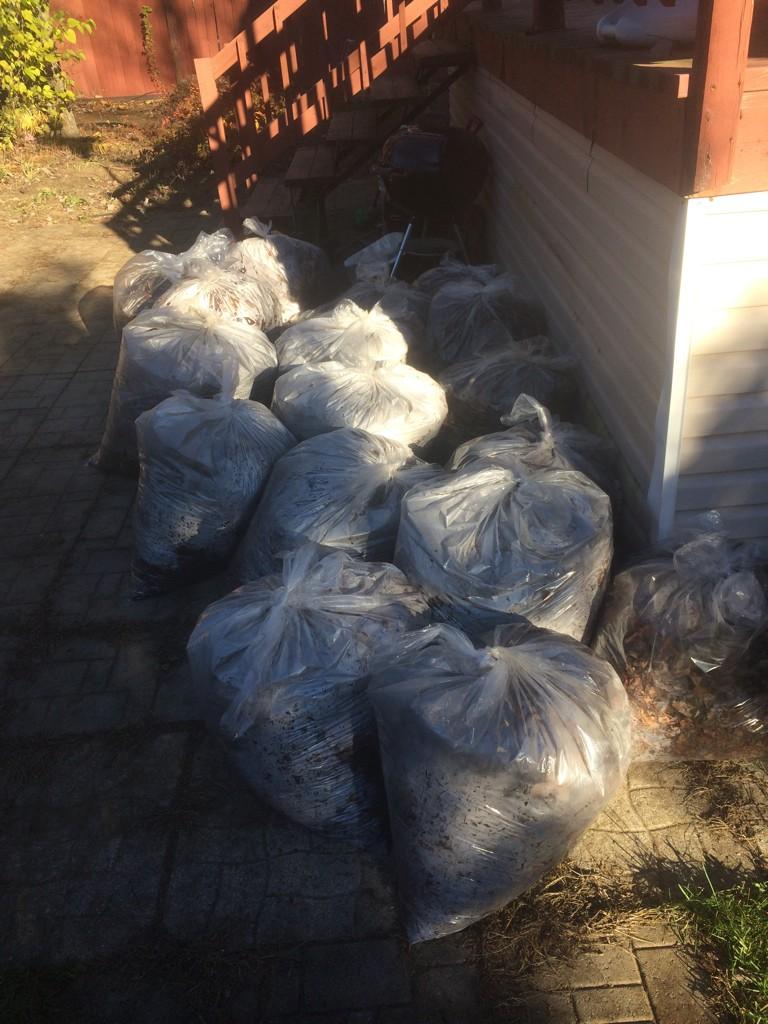 RobCeccatz's tweet photo. Watchu kno about leaves ? #NotEvenHalfDone http://t.co/0Ksx8xGSj0