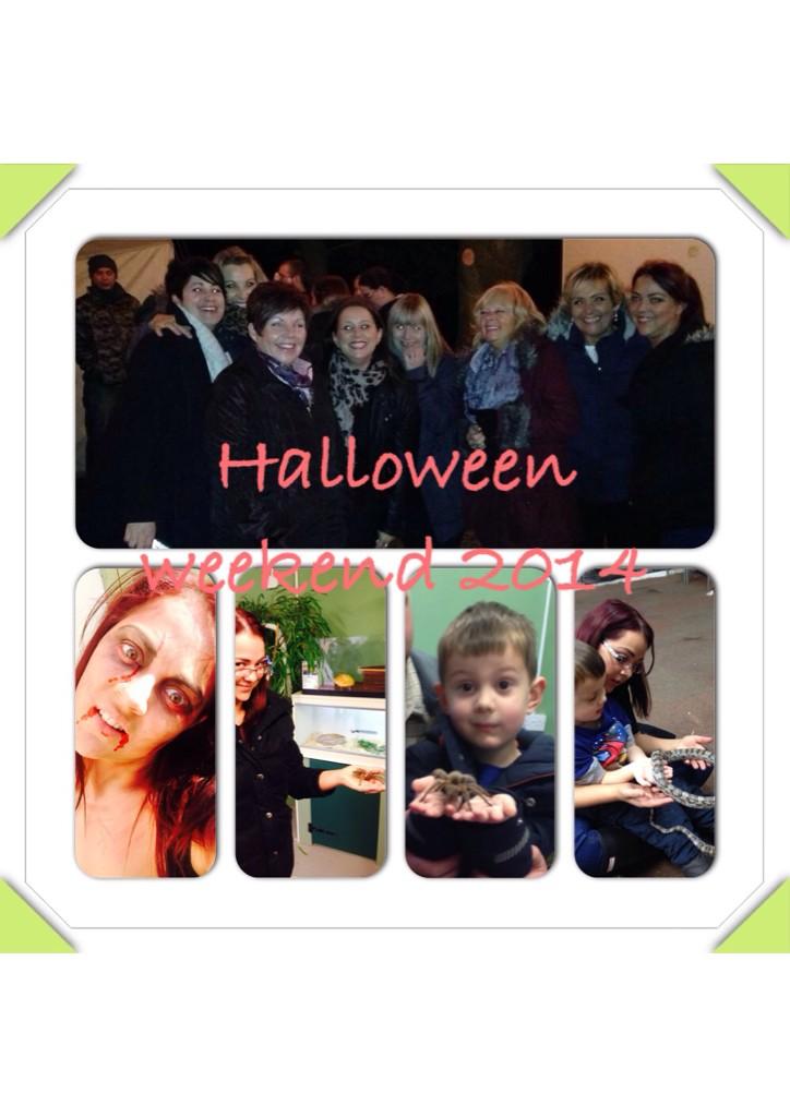 cherie_bradley2's tweet photo. From being a zombie 2 running from them &amp; clowns @Scaresville 2 holding spiders @SouthAngleFarm #facingfears http://t.co/MR5T9dvNVN