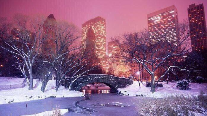 MrHarryDerbidge's tweet photo. I want to go back to New York for Christmas... 😍 http://t.co/Tg5btPg0zC