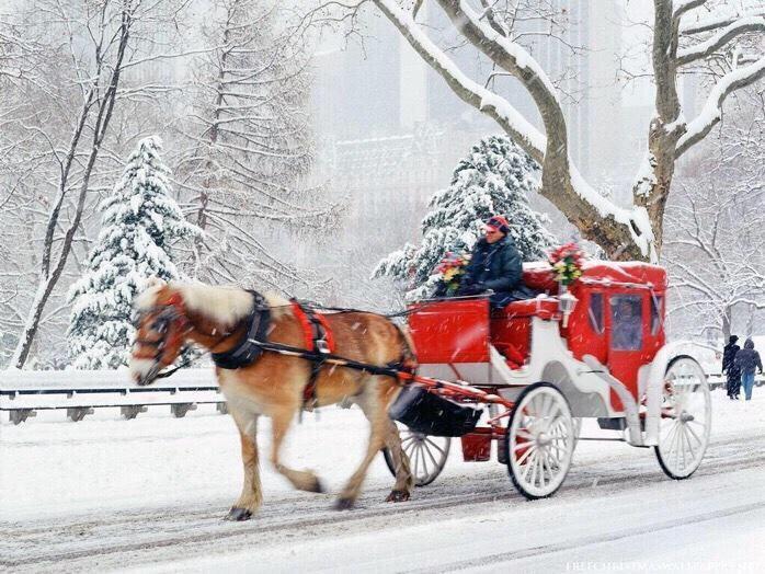 MrHarryDerbidge's tweet photo. I want to go back to New York for Christmas... 😍 http://t.co/Tg5btPg0zC
