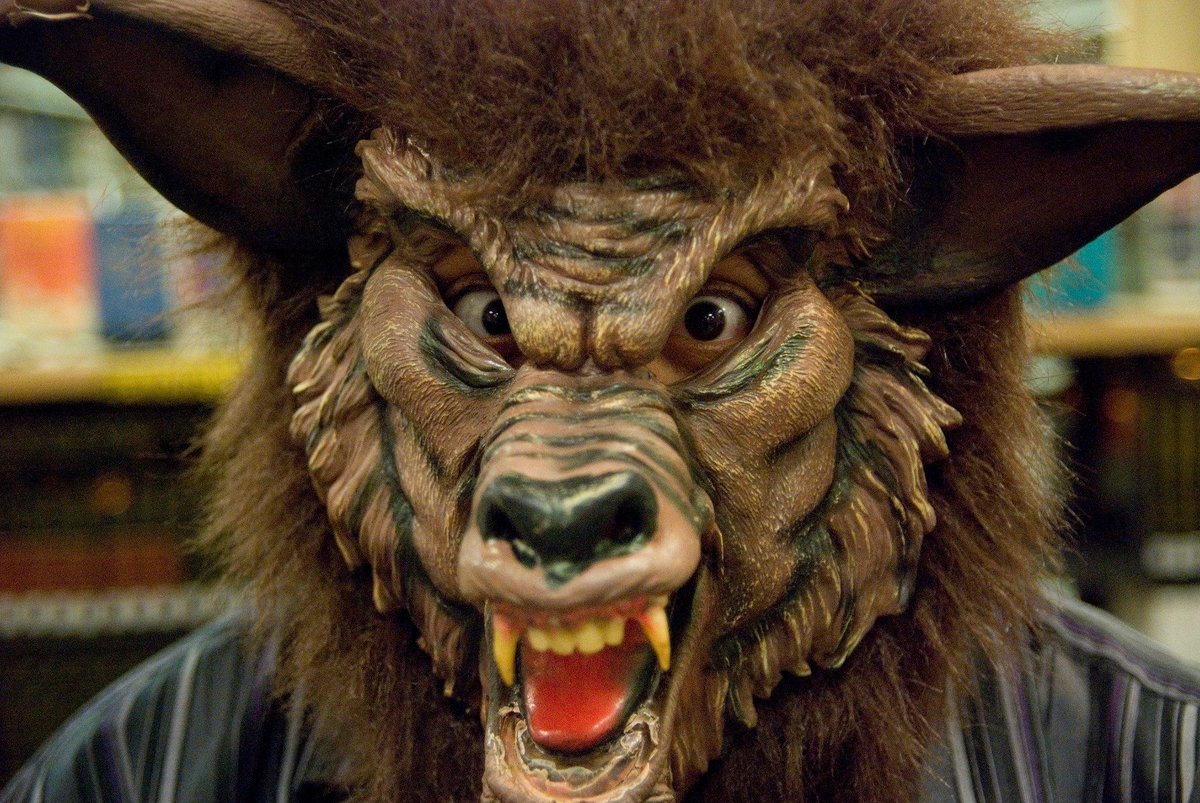 SeeleyLib's tweet image. Halloween picture 10/31/2014 
@SeeleyLib