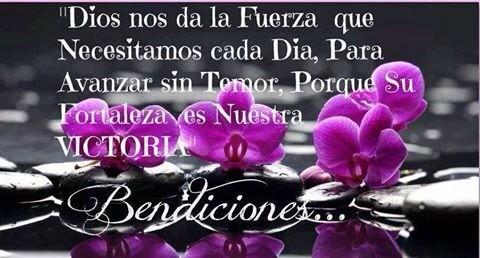 florjimen06's tweet photo. @jaquebuendia gracias mi querida Amiga, Feliz descanso Bendiciones . http://t.co/AzO90xDcNu
