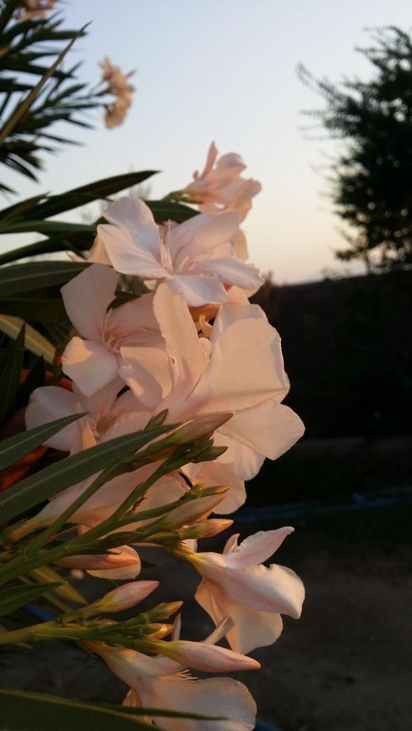 5ddebf7150564bd's tweet photo. http://t.co/pNRi1M3jRs