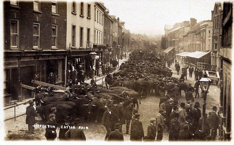 newlandfarm's tweet image. Crediton High Street in days gone by #Devons #nativebreeds