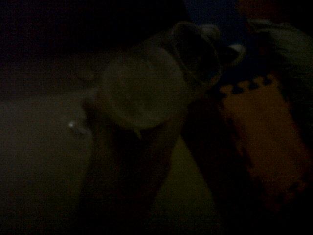 abrilsadi's tweet image. Charlando nuestras verdades #ConUnPocoDeVodka @JazminBelenn