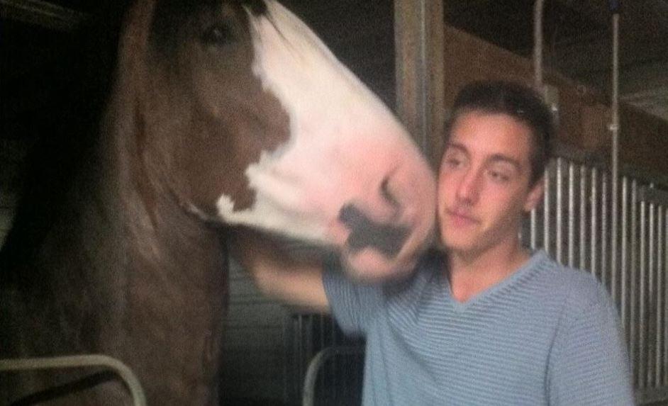 ‘Big, handsome boy’ killed in Flamborough crash bit.ly/1ttwgdg