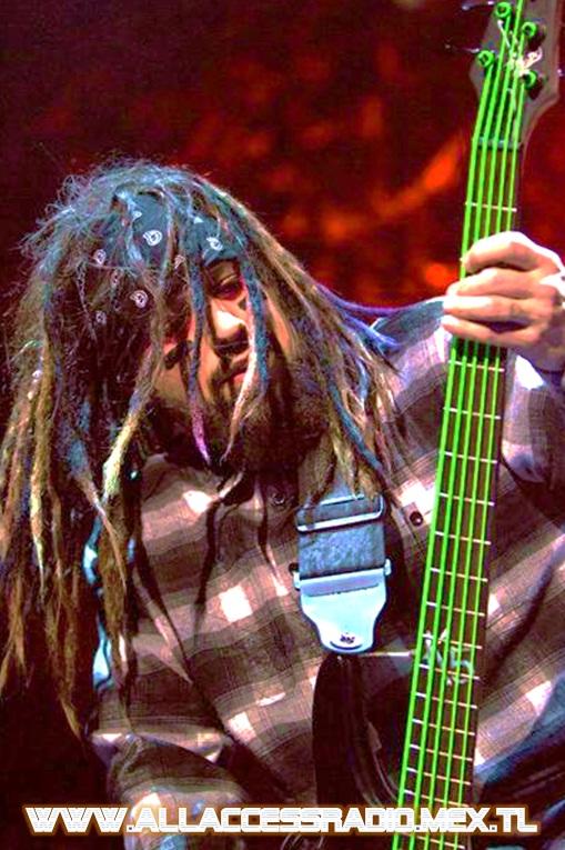 Happy Birthday Reginald "Fieldy" Arvizu bass to 
