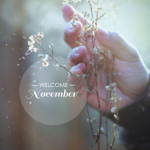 Maitealsa's tweet photo. Sigue el buen ritmo que ha dejado Octubre.. 😊 http://t.co/HSbFnPJIzW