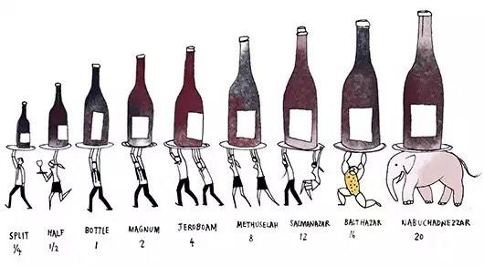 AndyTheWineGuy's tweet image. @winewankers Love this playful graphic of #wine bottle sizes up to the monster #Nabuchadnezzar!!
