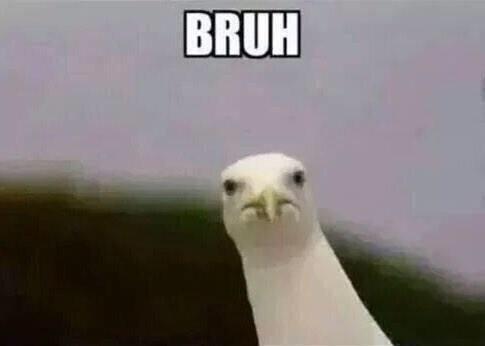 RyneBower's tweet image. When I actually see something interesting 😂😂😂