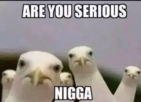 RyneBower's tweet image. When I actually see something interesting 😂😂😂