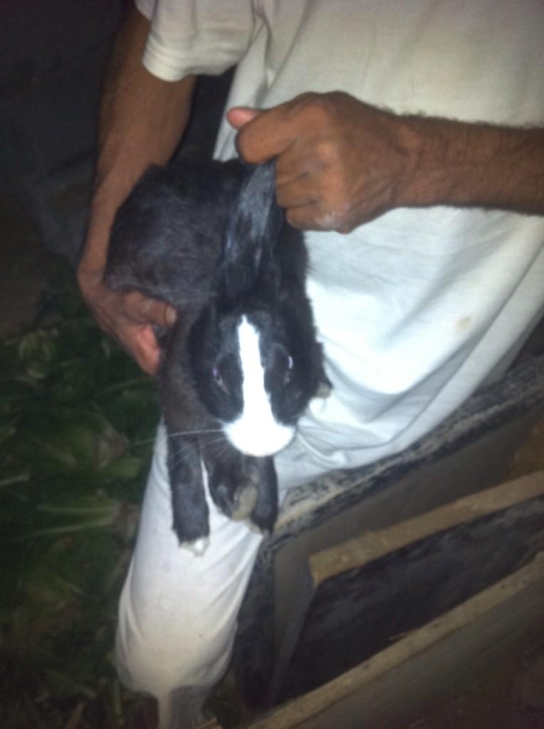 waghsay's tweet photo. http://t.co/3AXHa74jx9