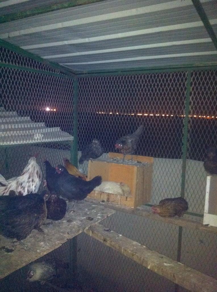 waghsay's tweet photo. http://t.co/4uu3aRQH0Z