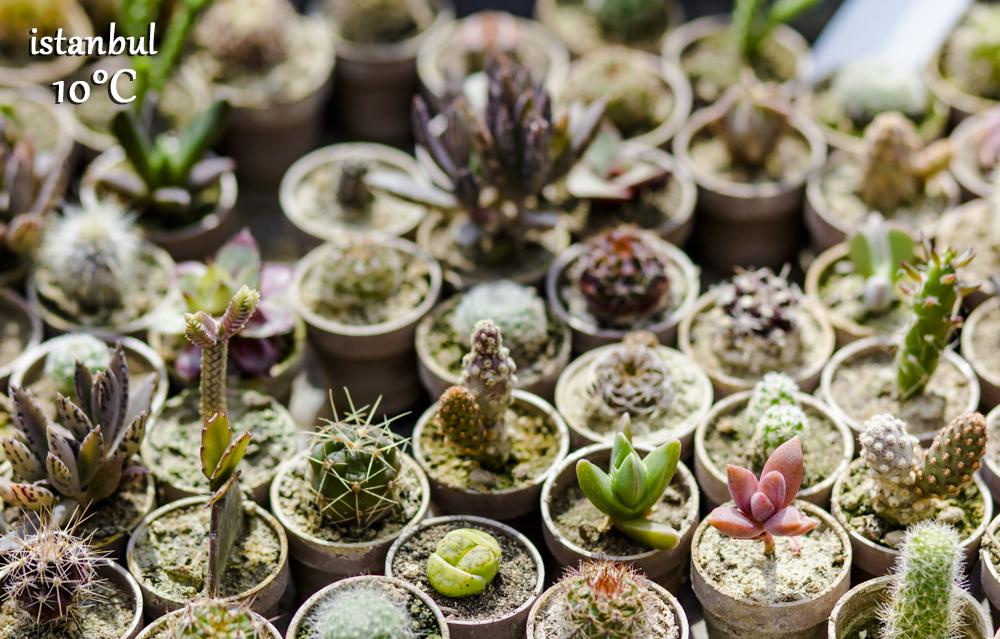 #Günaydın
Salı gününden itibaren pastırma sıcakları geliyor,
Herkese sıcacık bir hafta ve hayırlı işler dileriz