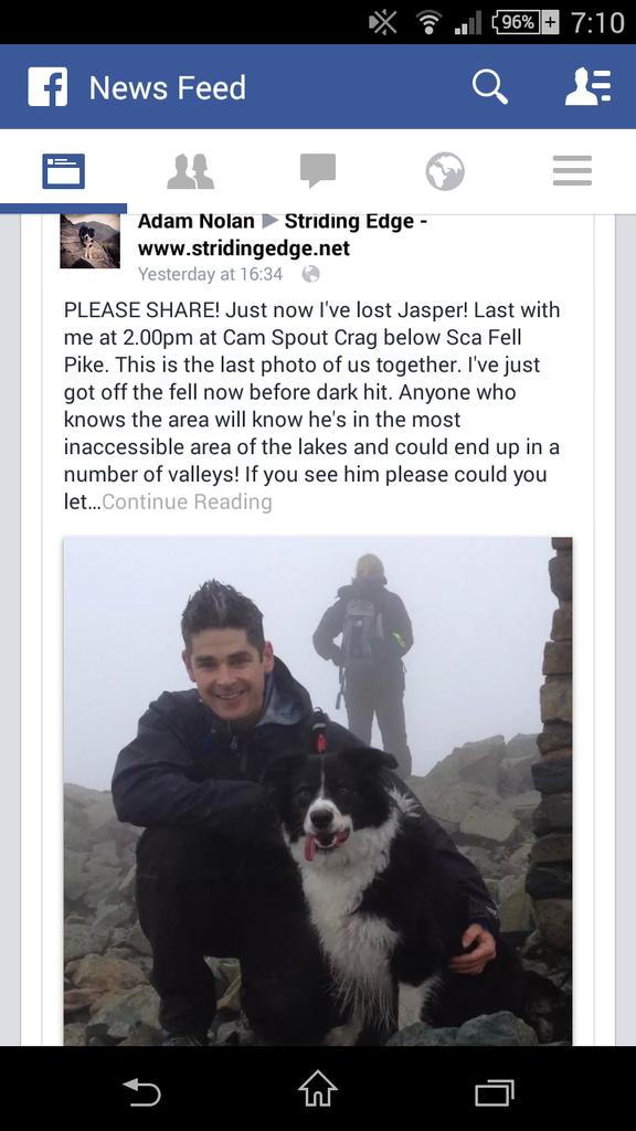 Unfortunately this dog has gone missing yesterday please share