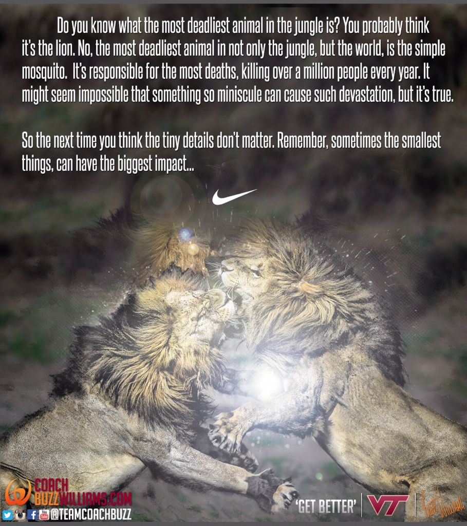 Buzz Williams (@teamcoachbuzz) on Twitter photo “@jamilwil5on:food for thought, from <a href="/TeamCoachBuzz/">Buzz Williams</a>.. ”
My Man!Small things are big things, because #EverythingMatters “@jamilwil5on:food for thought, from <a href="/TeamCoachBuzz/">Buzz Williams</a>.. ”
My Man!Small things are big things, because #EverythingMatters