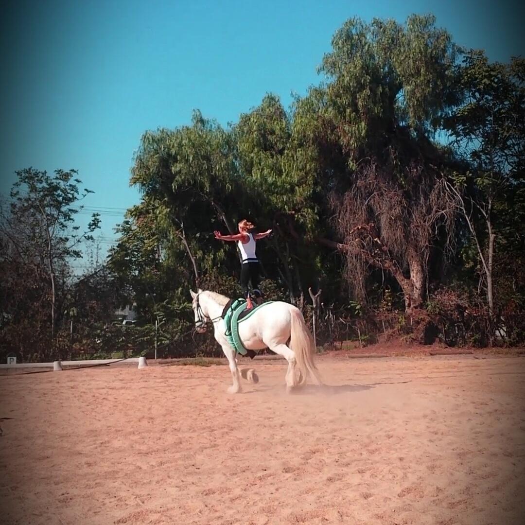 TrapezeartsWebb's tweet photo. So much fun at EVX vaulting club on foxy lady! http://t.co/gBA0shZfkc