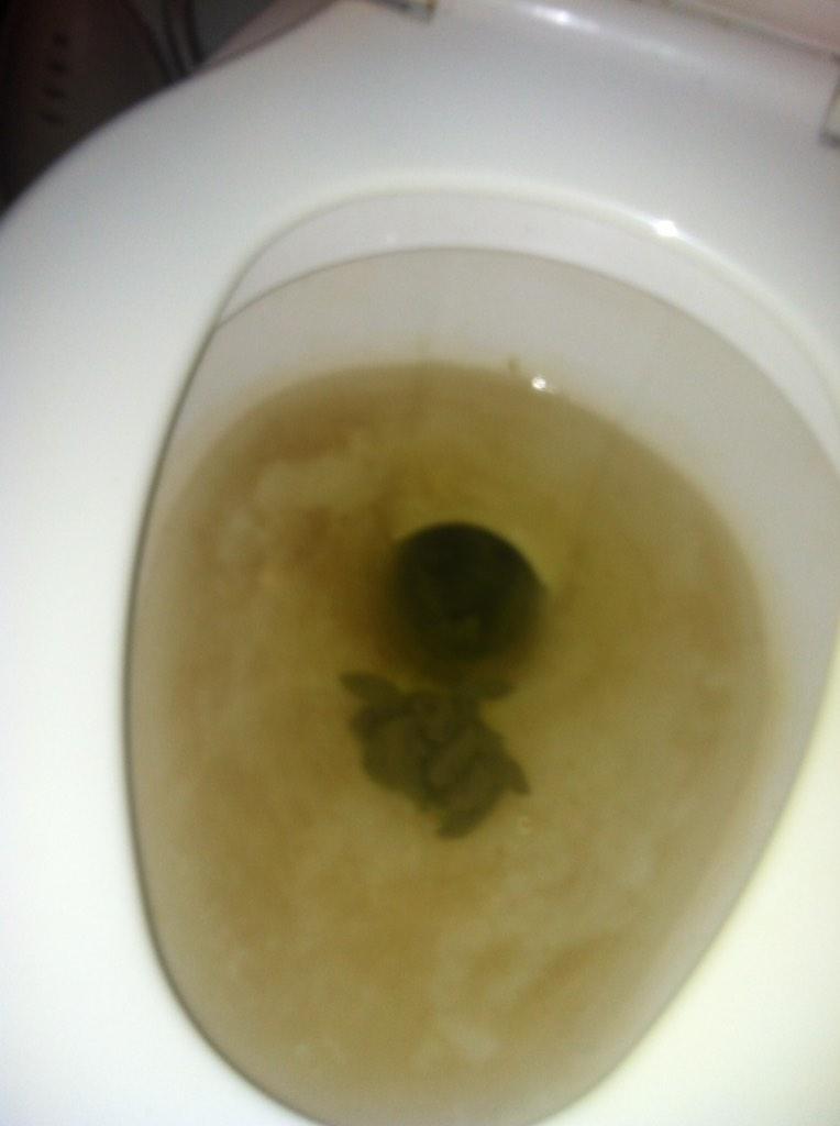 EdmondStuff's tweet image. Rare pic of the demos bros new mixtape