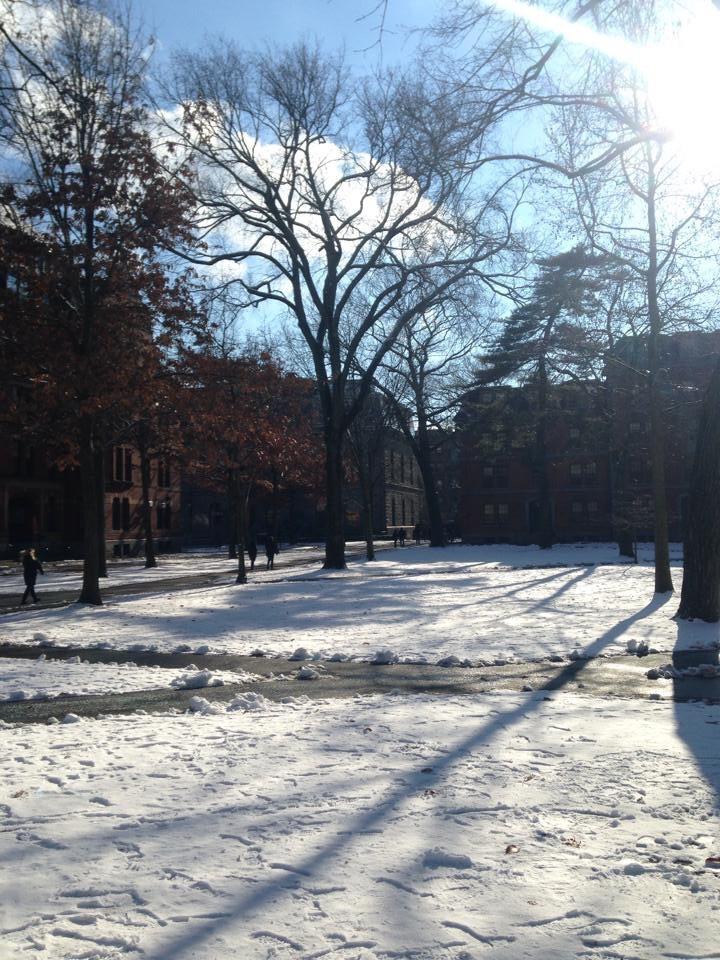 LulaAg's tweet photo. Harvard bajo cero❄️⛄️quiero volver!!!! @RestoDelMundo13 #IvanEnBoston http://t.co/6sCF6j0aqU