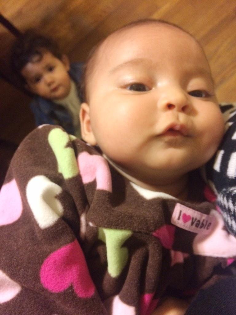 leanerbeanzz's tweet photo. saw these beautiful babies ππ #AryahRose #AdelineRose #itwashardtogetagoodpicturwofthemboth http://t.co/N3aRDcRA3q