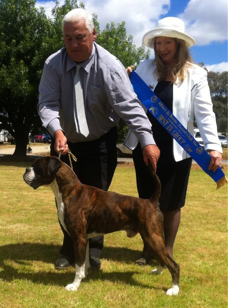 Boxberry's tweet photo. Albury results

Jack 2 BOB Sun BIG

Slater 2 RUBOB Sun ABIG

P 2 CC &amp; MPIG

Pumpkin 2 RCC 

Burger 2 NBOB Sat NIG http://t.co/53XAhOeDZ2