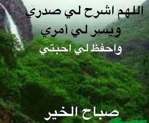    alKraan999 (@samehvcxzdafd1) on Twitter photo 