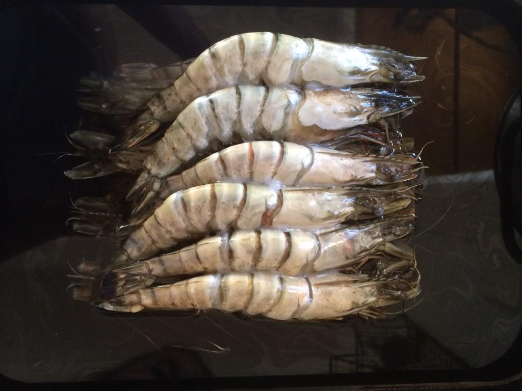 Prawns defrosting ready to be made into pad thai #lulupix2 @ianwallacephotographer #snapandstir