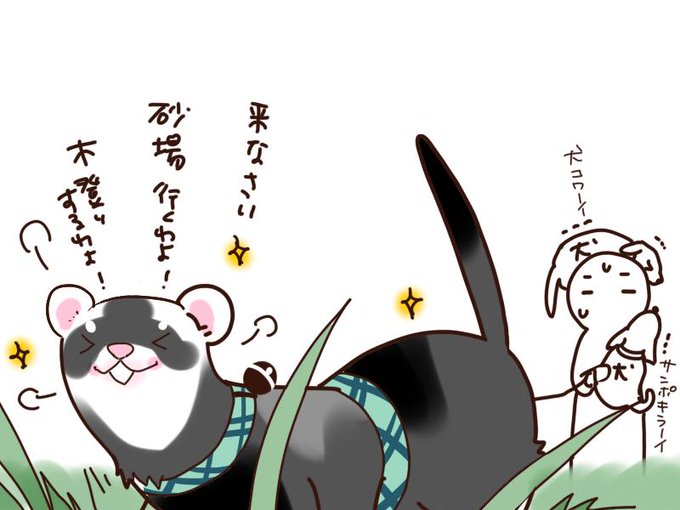 散歩嫌い治らないかな… 