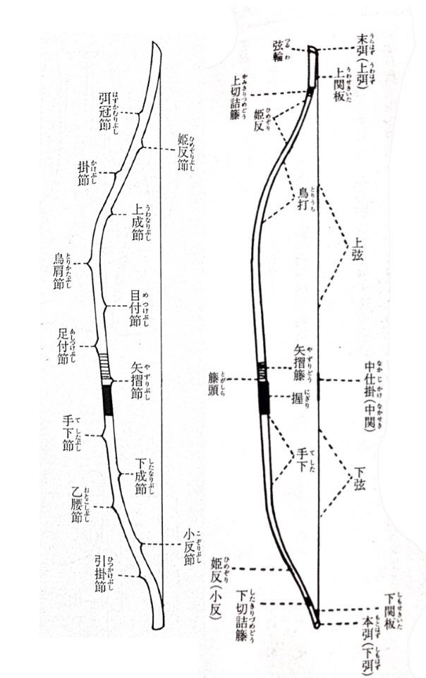 宇北弓道obog 知っておきたい名称 弓 左は竹弓 弦を返す際は竹弓の乙腰節 おとこしぶし を持って弦を返す グラス弓だと床から約30cmのあたりだそうです 講習会情報 Http T Co Ikouuw5i8m Twitter