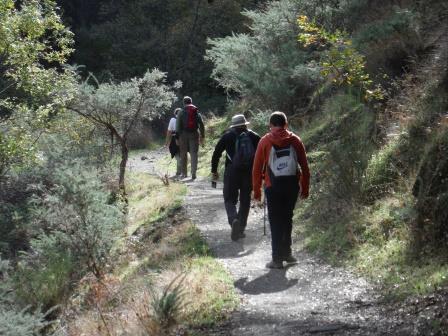 Actividad de senderismo, ruta Vereda de la Estrella, 22Km llenos de colores otoñales.