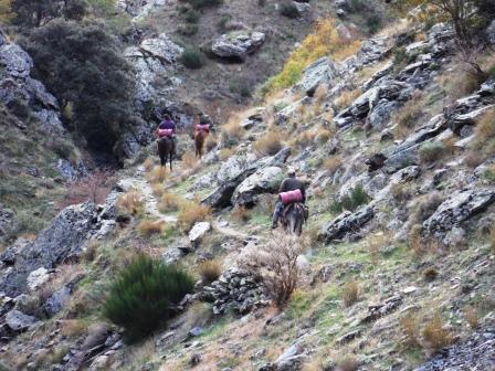 Subida de pastores a cueva secreta.