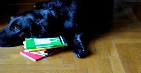 Οι ειδικές προσφορές σε εξαιρετικούς τίτλους συνεχίζονται ακόμη. Επιλέξτε τις από το site μας.
potamos.com.gr