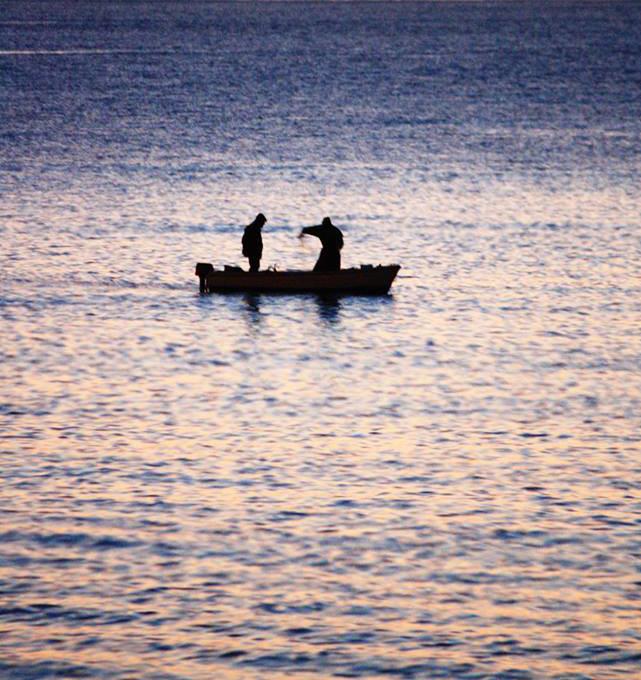 Red_Flake's tweet image. - 9 - anacronistico - #logicotour2014 #complisis
[Blu]
@monicanaccarato @CremoniniCesare