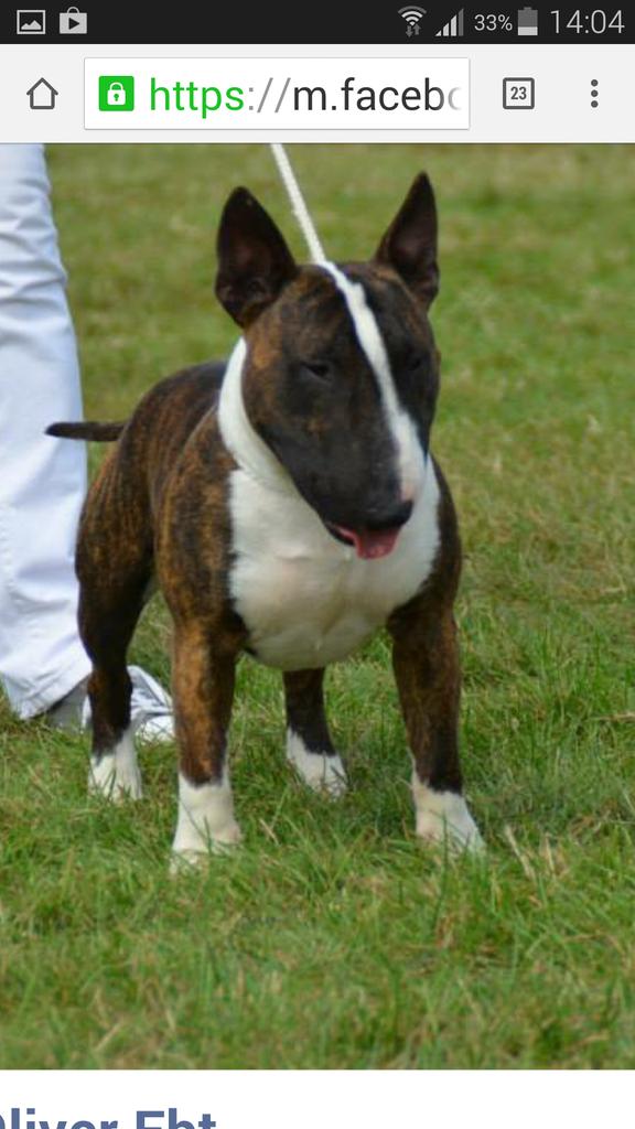 adelej2812's tweet photo. Thanks to everyone who tweeted for Rafa . Sadly the search is over and his body recovered. RIP RAFA http://t.co/FJZmUEtCWY