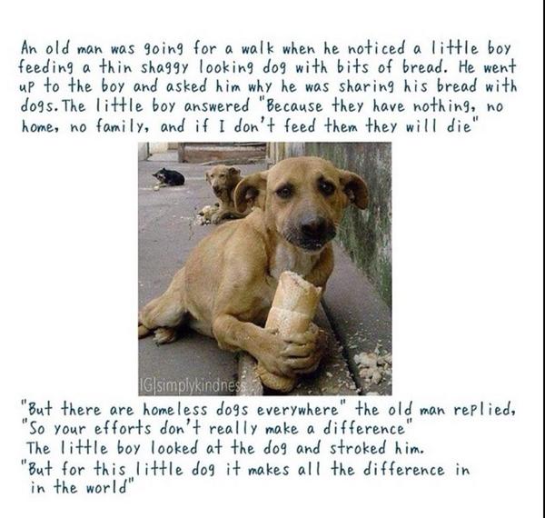 SpeakComedy's tweet photo. Dont forget to Share kindness http://t.co/LZoJR2qw8p