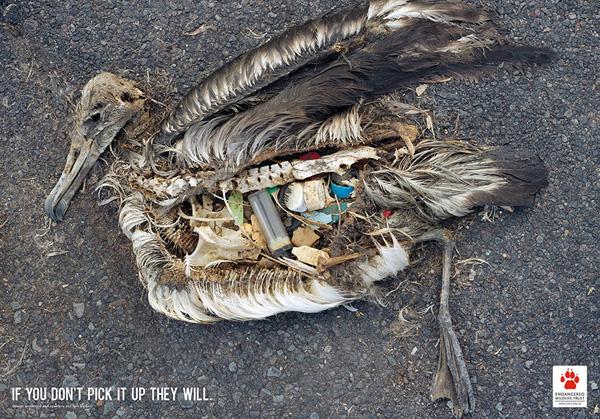 helpThePlanetOr's tweet photo. Campañas publicitarias: #SiTúNoLosRecogesLoHaránEllos Agencia de publicidad de Johannesburgo,Sudáfrica. http://t.co/NQqnB7GvRv