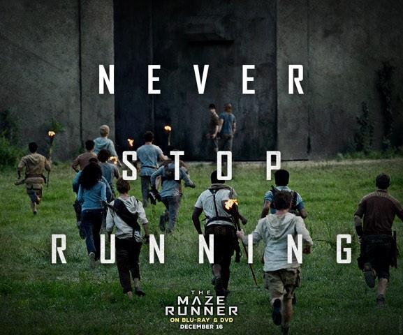 Stop running woo. Stop running. never stop картинки. never stop training. run! run! ruuuuuuuuuun! your life depends on it!!.