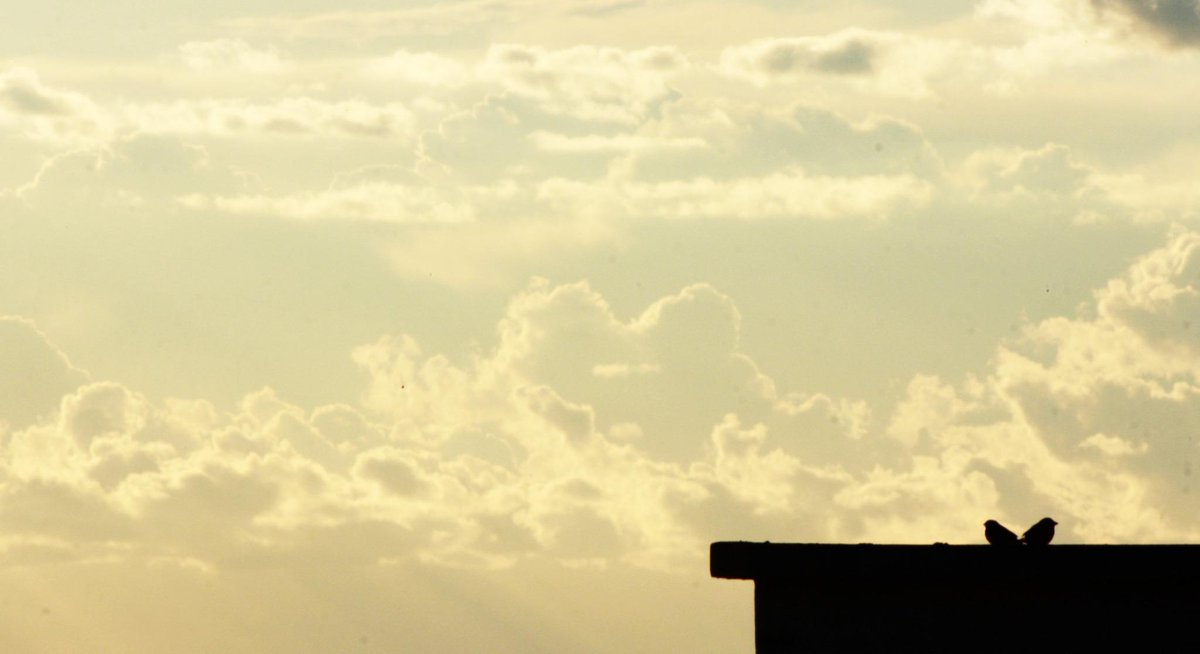 Red_Flake's tweet image. -8 #logicotour2014 #complisis 
difficile oggi scegliere, ma poi...

E se c'era una volta l'amore

@CremoniniCesare