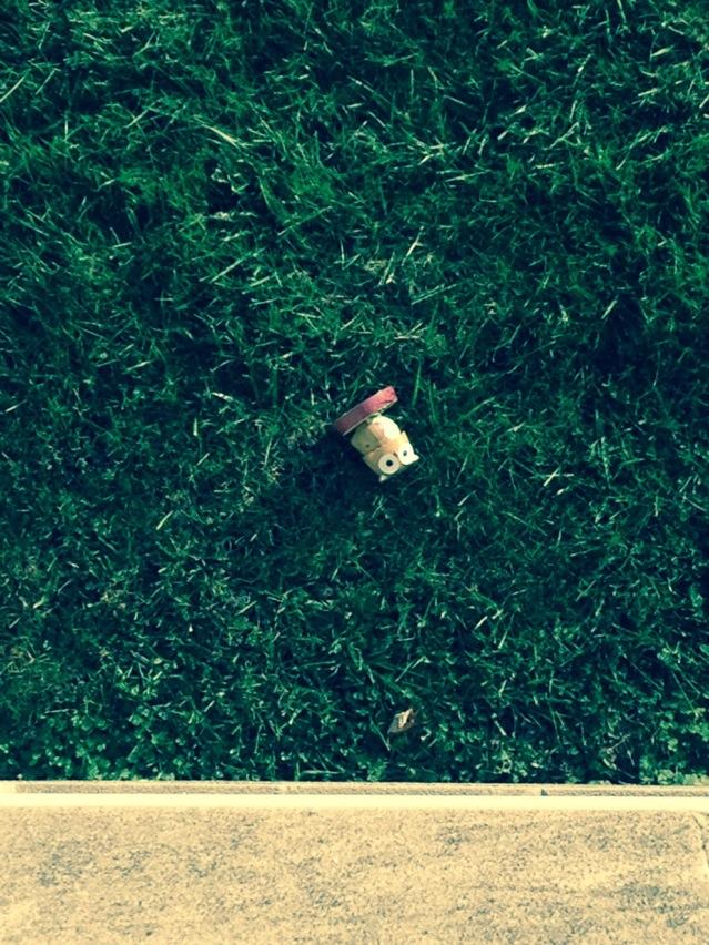 KrisGJohnson's tweet image. Latin 4 turned up to hard today. @natalieshort8