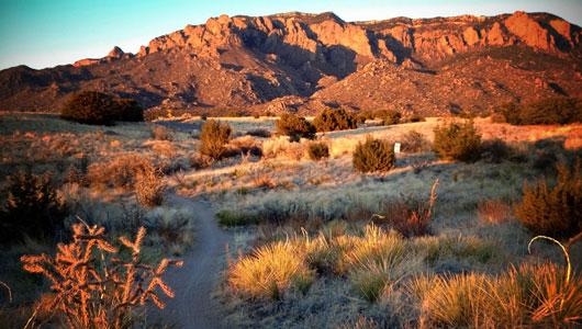 10 of the top U.S. cities for nature lovers bit.ly/1uk5Iih