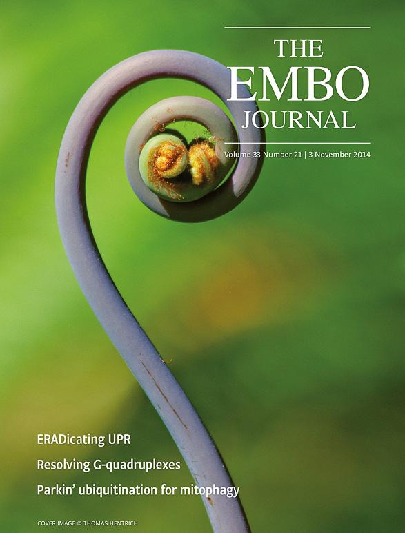 embojournal's tweet photo. Need something to cheer up your Monday? How about a brand new issue of #EMBOJournal http://t.co/l3vTTTCxi0 http://t.co/r6LXpLPF95