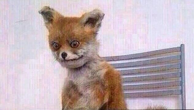 شكلك وانت توك قاعد من