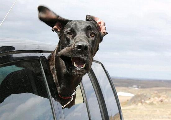 GiveItUp4Flo's tweet photo. #NotSenzosDad http://t.co/FaxlM6oOog