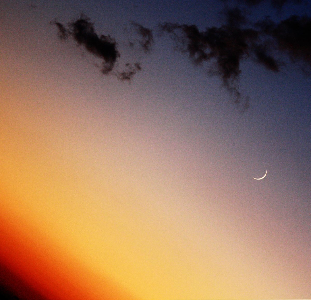 Red_Flake's tweet image. -8 #logicotour2014
[anacronismi] ho vent'anni e..

"E se ti piace.. Nascere al tramonto
Puoi dormire.. Insieme a me"