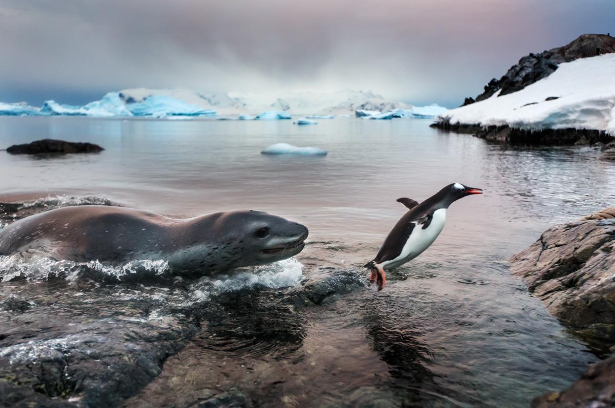 15 incredible photos that'll remind you to be awed by planet Earth wrd.cm/1xSHnx2