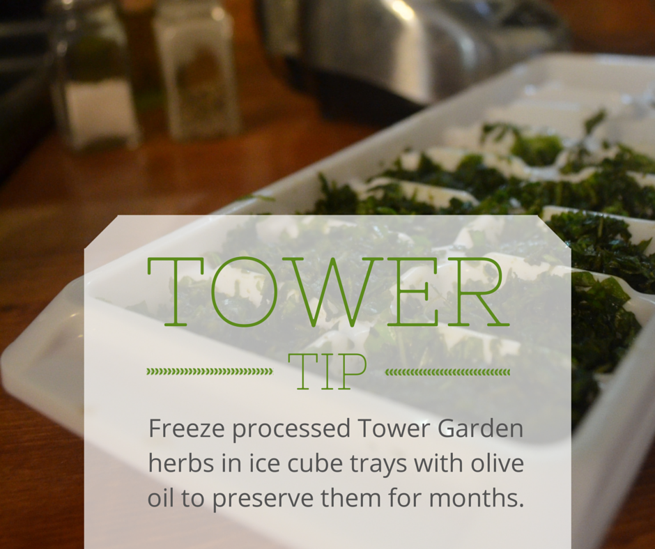 TowerGarden's tweet photo. Process and freeze Tower Garden #herbs in ice cube trays with olive oil to enjoy them for months to come! #TowerTip http://t.co/C2MaPkE7dw