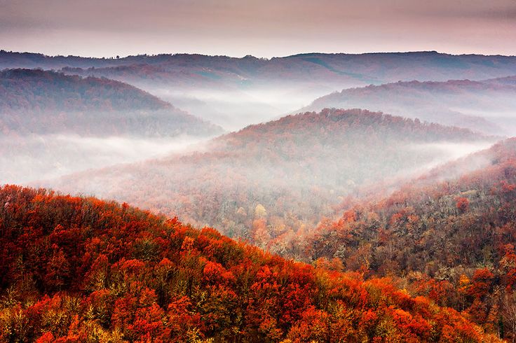 ccampingorg's tweet photo. Beautiful photos and fun facts! RT @cottagelife: 20 amazing facts about fall leaves! http://t.co/WsKaNiABfV http://t.co/4dox1eMHd7