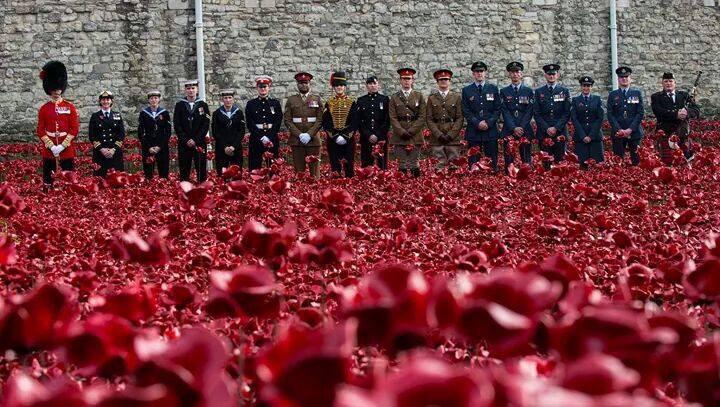 doglab's tweet image. This is the sort of picture we should be retweeting,