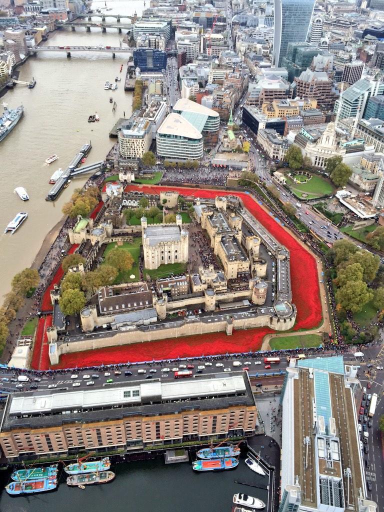 doglab's tweet image. This is the sort of picture we should be retweeting,