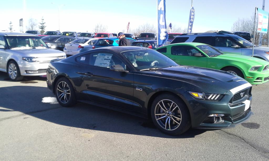 stevemalward's tweet photo. The new and revamped 2015 Mustang GT just arrived...has to be seen and driven....awesome!!! http://t.co/QUy3j46BXy